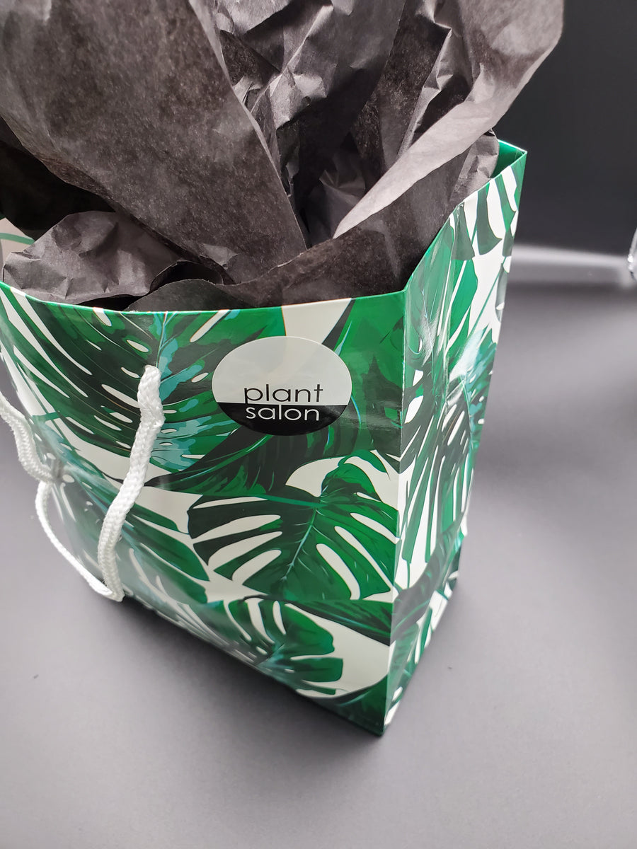 Tropical Palm Gift Bag