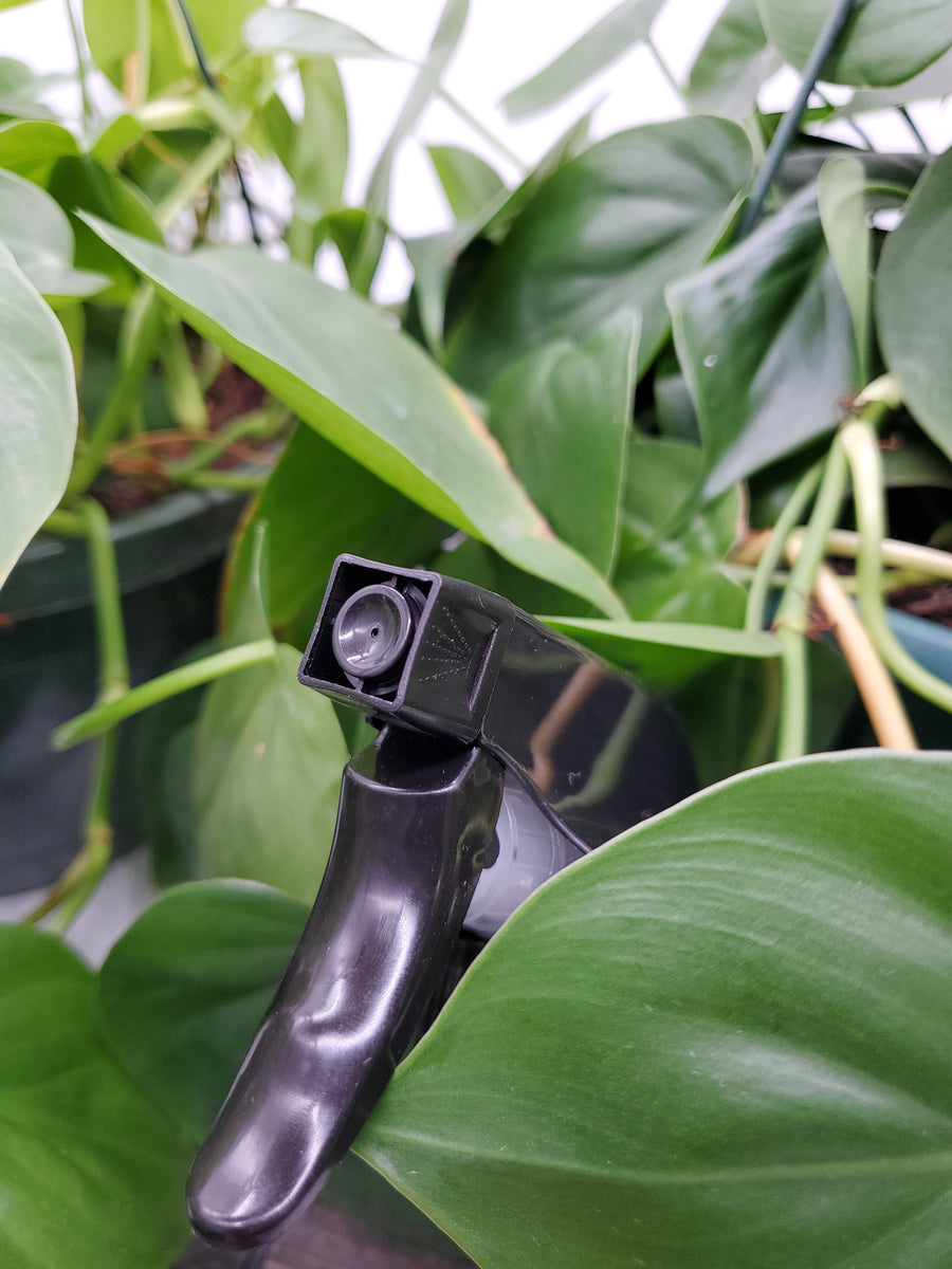 Plant Salon Spray Nozzle