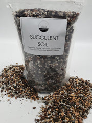 Plant Salon - Succulent Soil