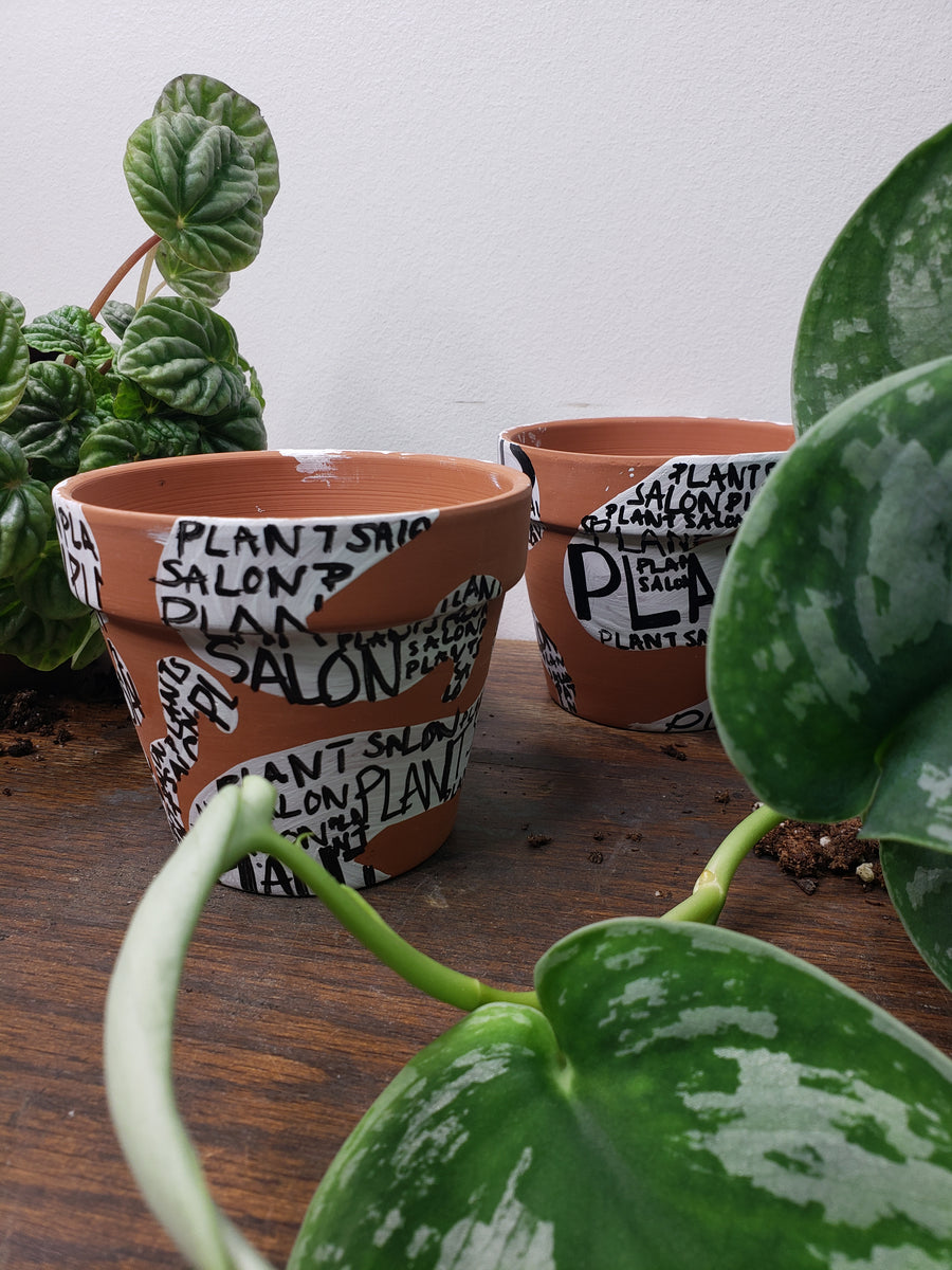 Pot That Plant Class