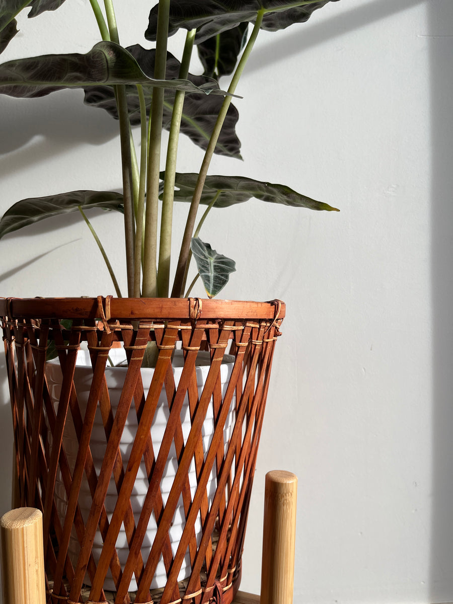 Vintage Inspired Woven Upright Basket