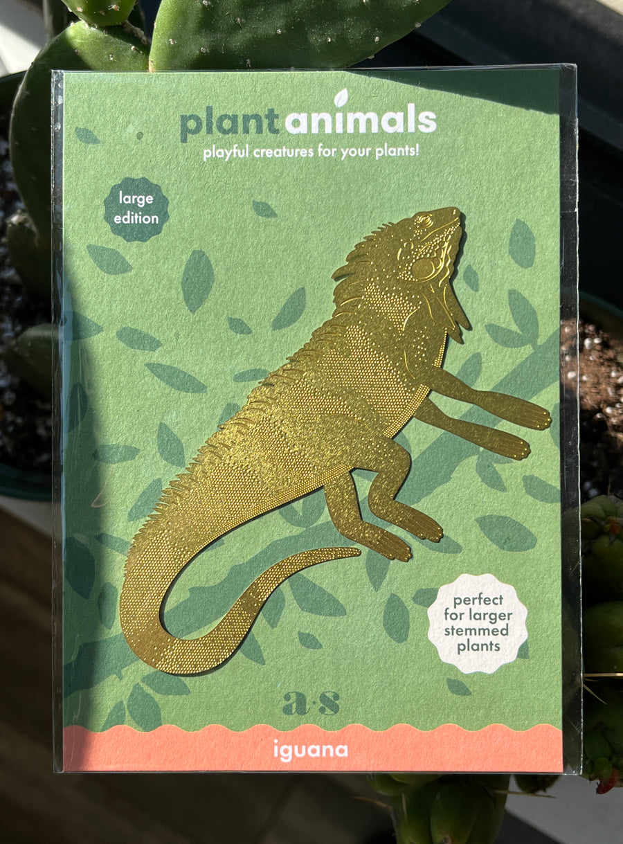 Plant Animal Decoration - Large Iguana