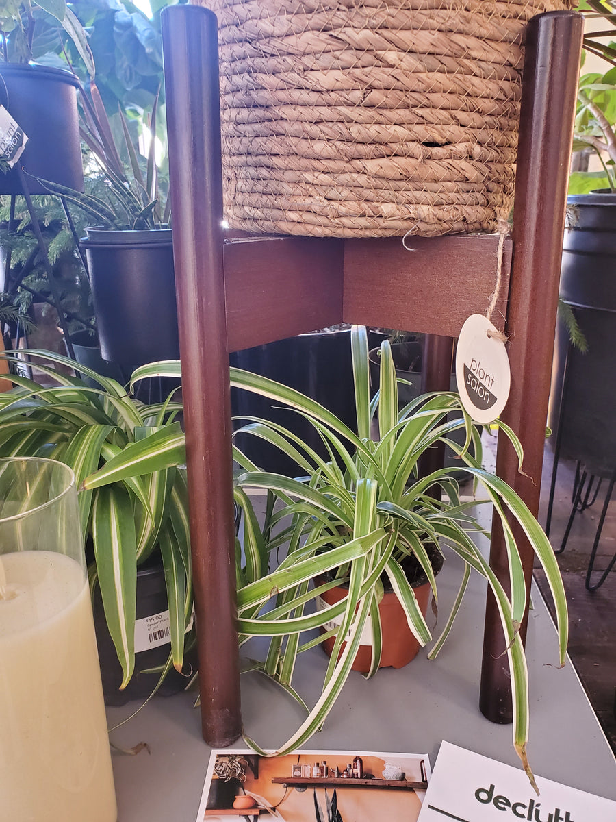 Plant Stand - Top Level - Adjustable