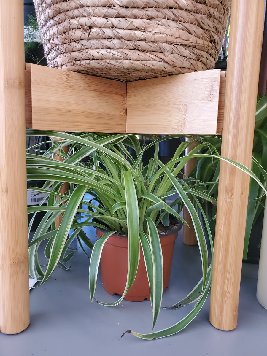 Plant Stand - Mid Level - Adjustable