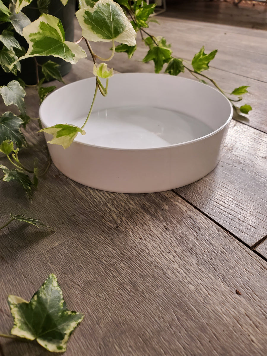 Plant Salon - Acrylic Saucer, White