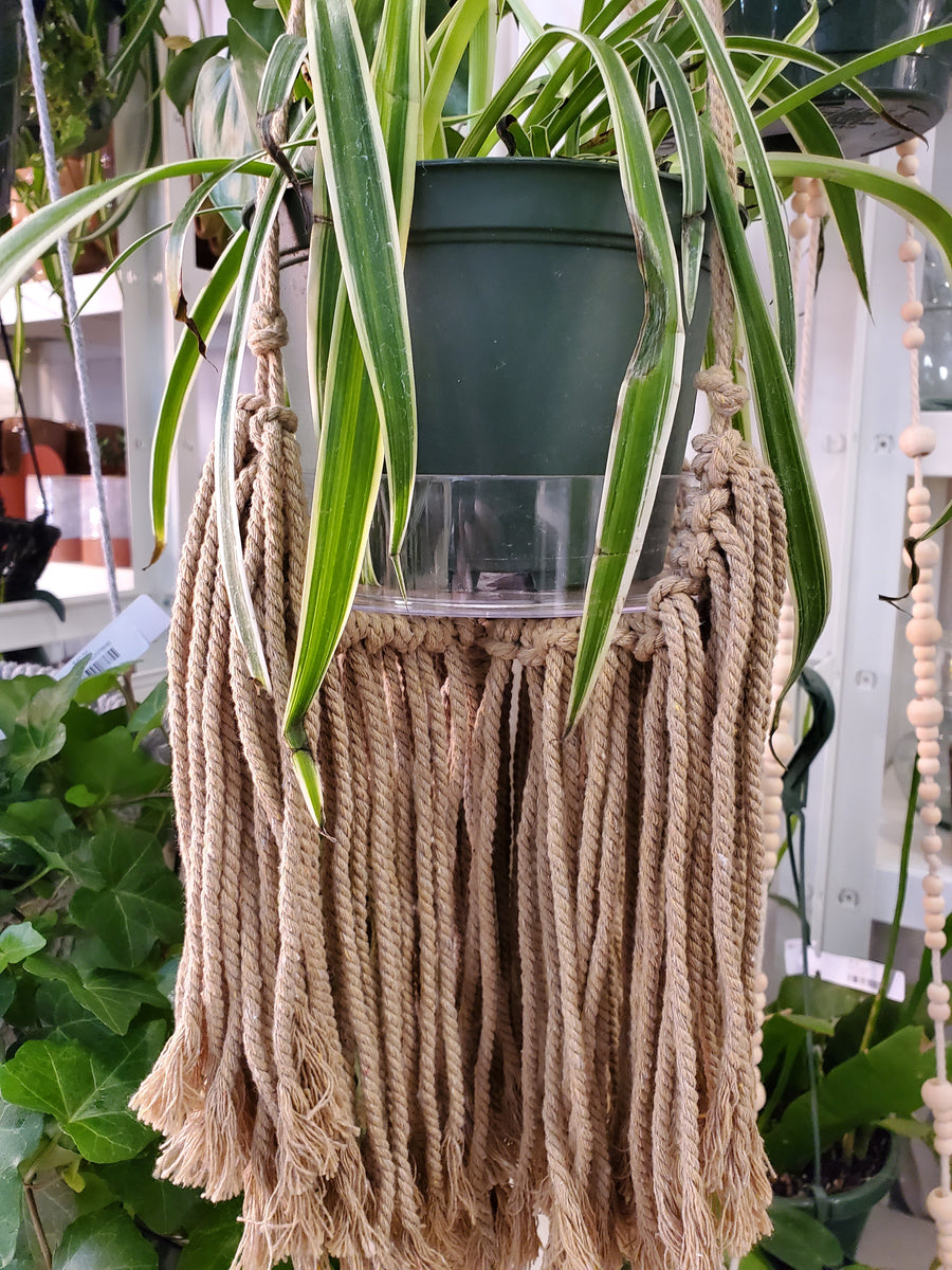 Natural Fringed Plant Hanger Macrame