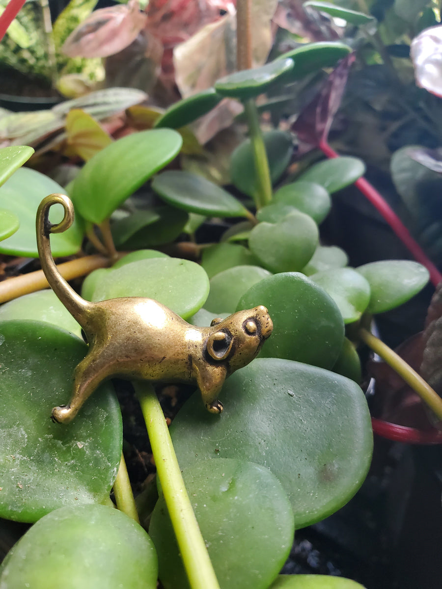 Plant Salon - Brass Mouse