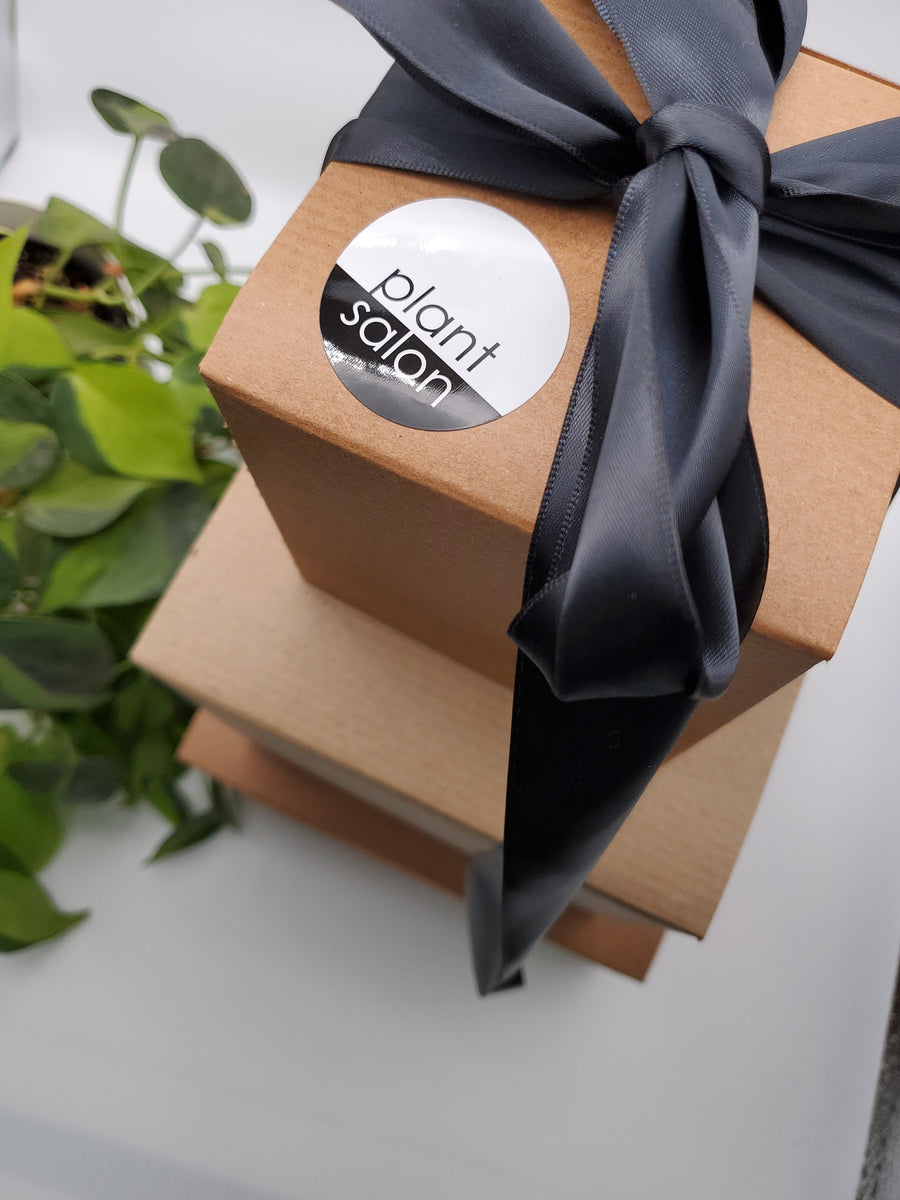 Pot Your Plant Gift Box