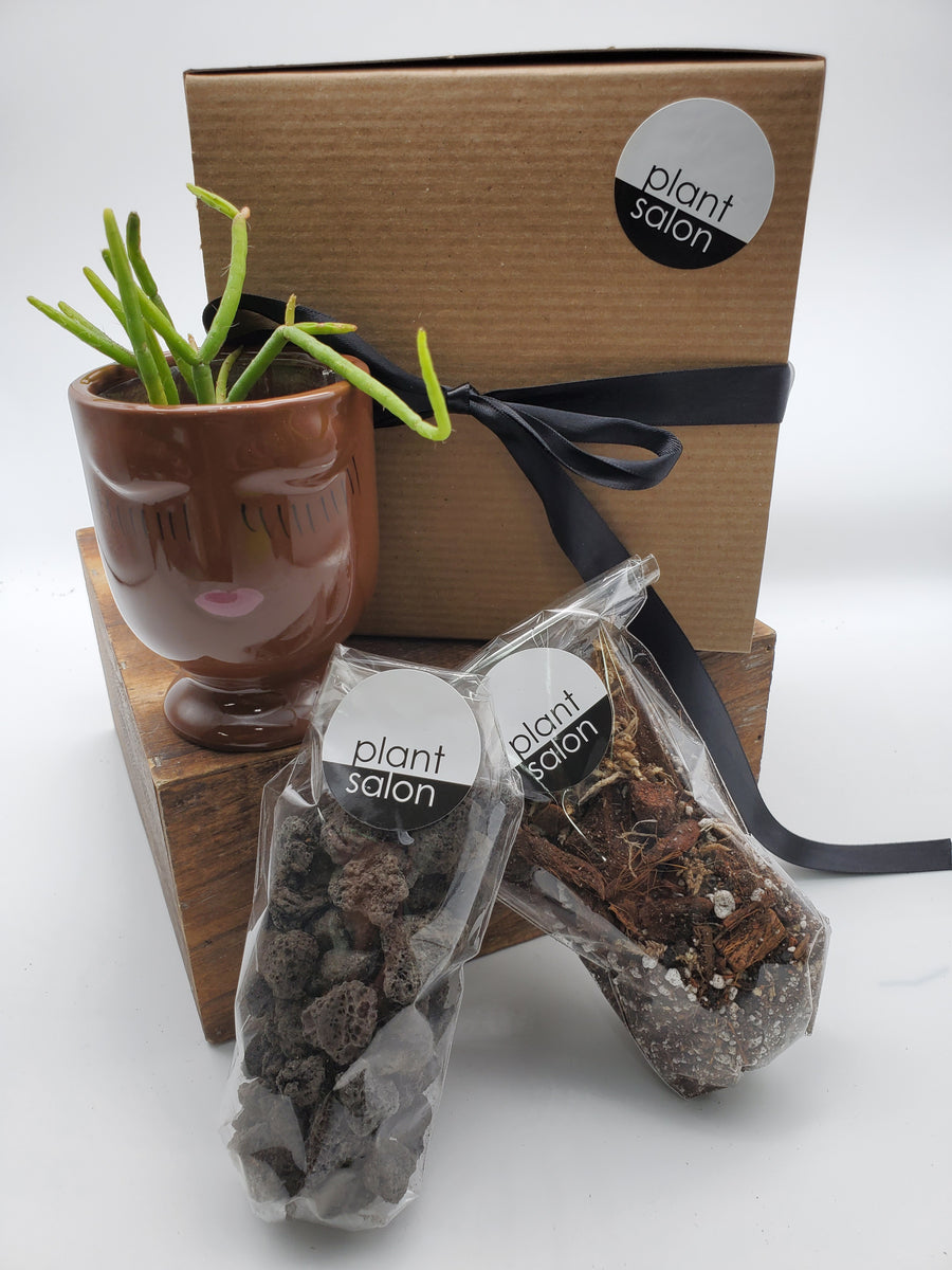 Pot Your Plant Gift Box