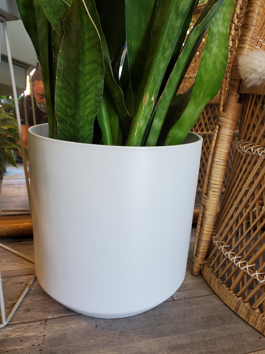 Plant Salon - Kendall Pot
