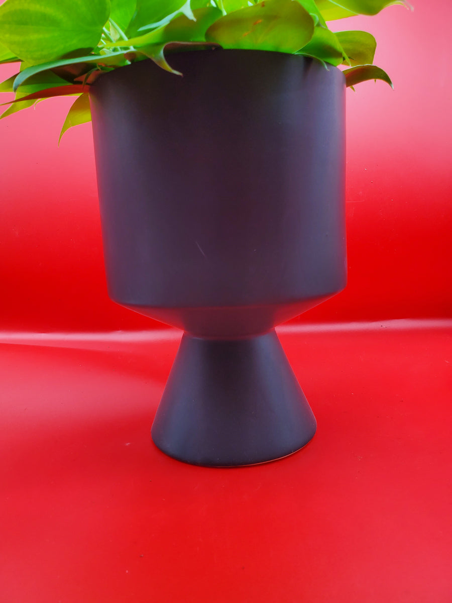 Plant Salon De Vil Pot Black