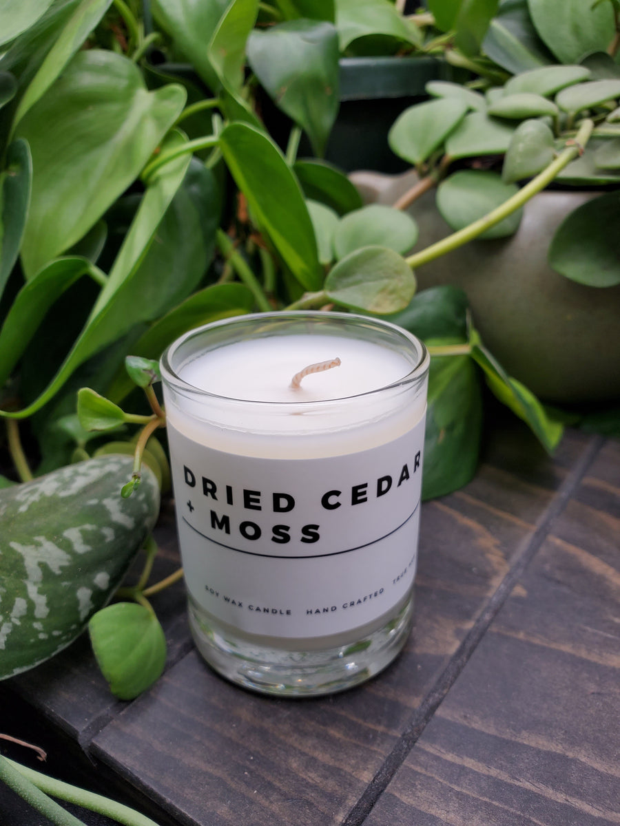 Dried Cedar + Moss mini Candle