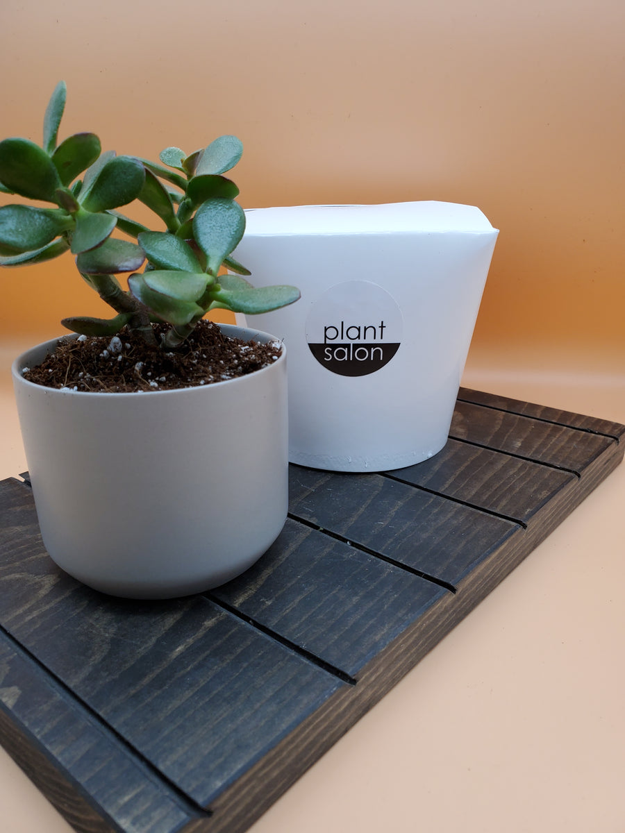 Personalised Teacher Plant Pot | The Gift Experience