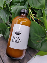 Plant Salon - Plant Spray