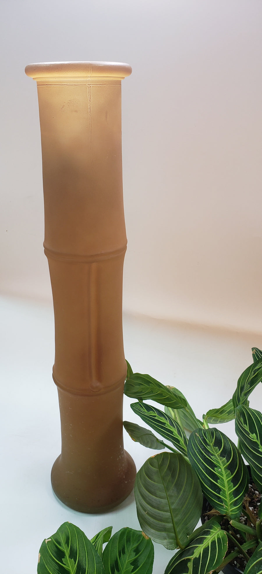 Frosted Glass Amber Bamboo Vase