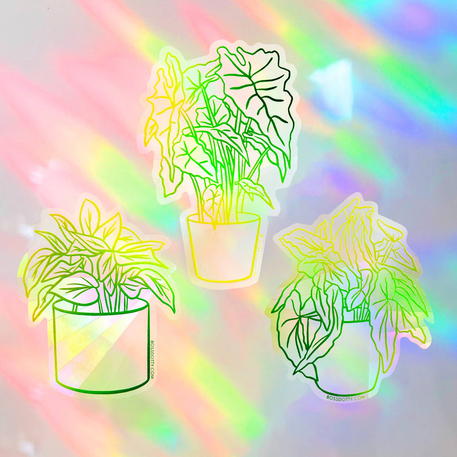 House Plants Rainbow Suncatchers | Set of 3