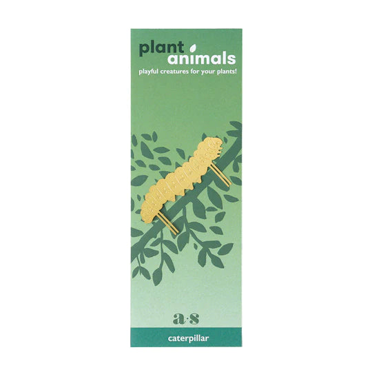 Plant Animal - Caterpillar