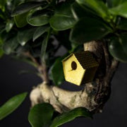 Tiny Birdhouse for your Plants - Plant Salon