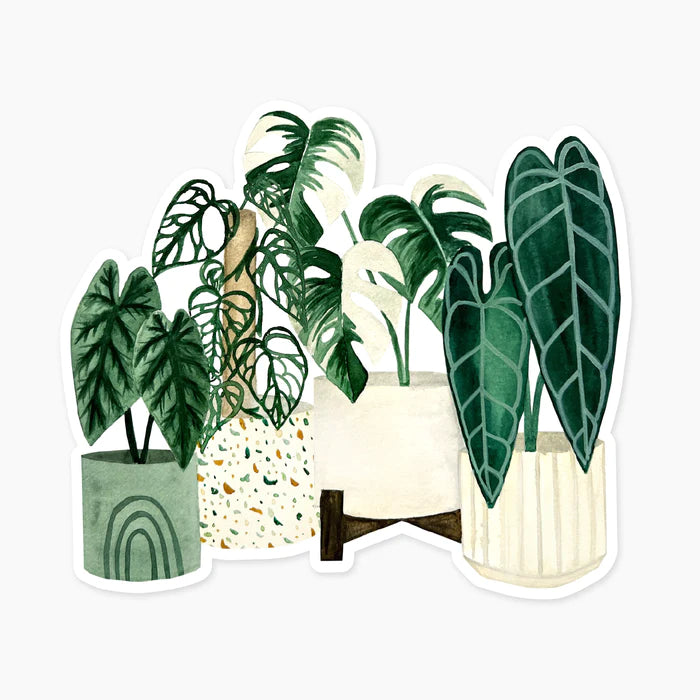 Rare Plants Clear Sticker