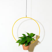Plant Salon 10" Hanging Circle Yellow