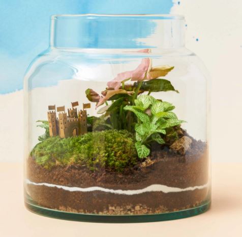 Mini Castle For Your Plants