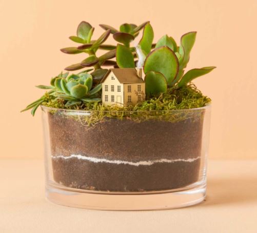 Mini House For Your Plants