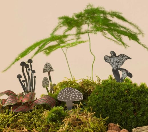 Mushroom Decor For Terrariums