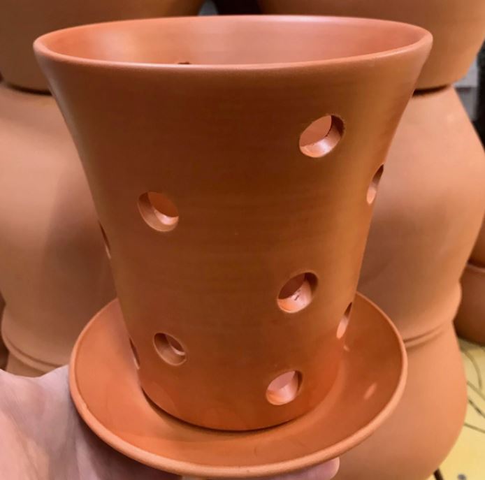 Scout Orchid Pot: Soft-as-Silk Terracotta Pot Only