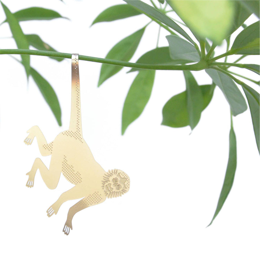 Plant Salon - Plant Animal Spider Monkey
