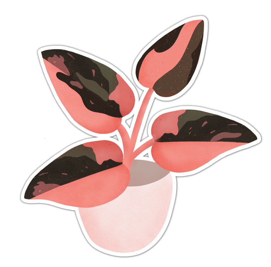 Pink Princess Philodendron Plant Sticker