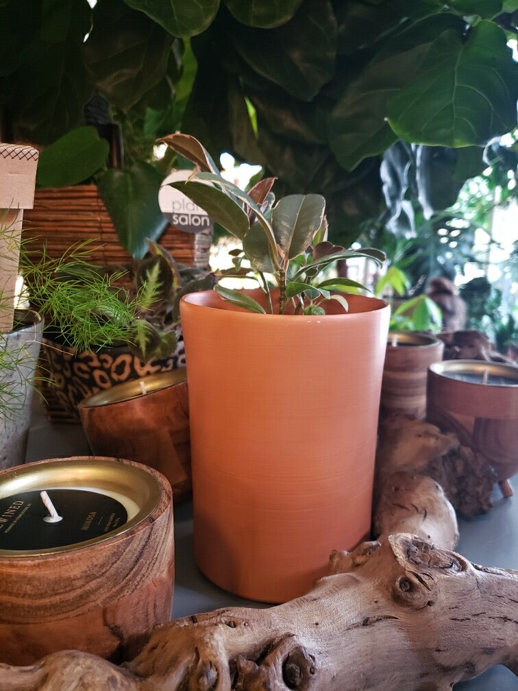 Finn: Soft-as-Silk Terracotta - Plant Salon