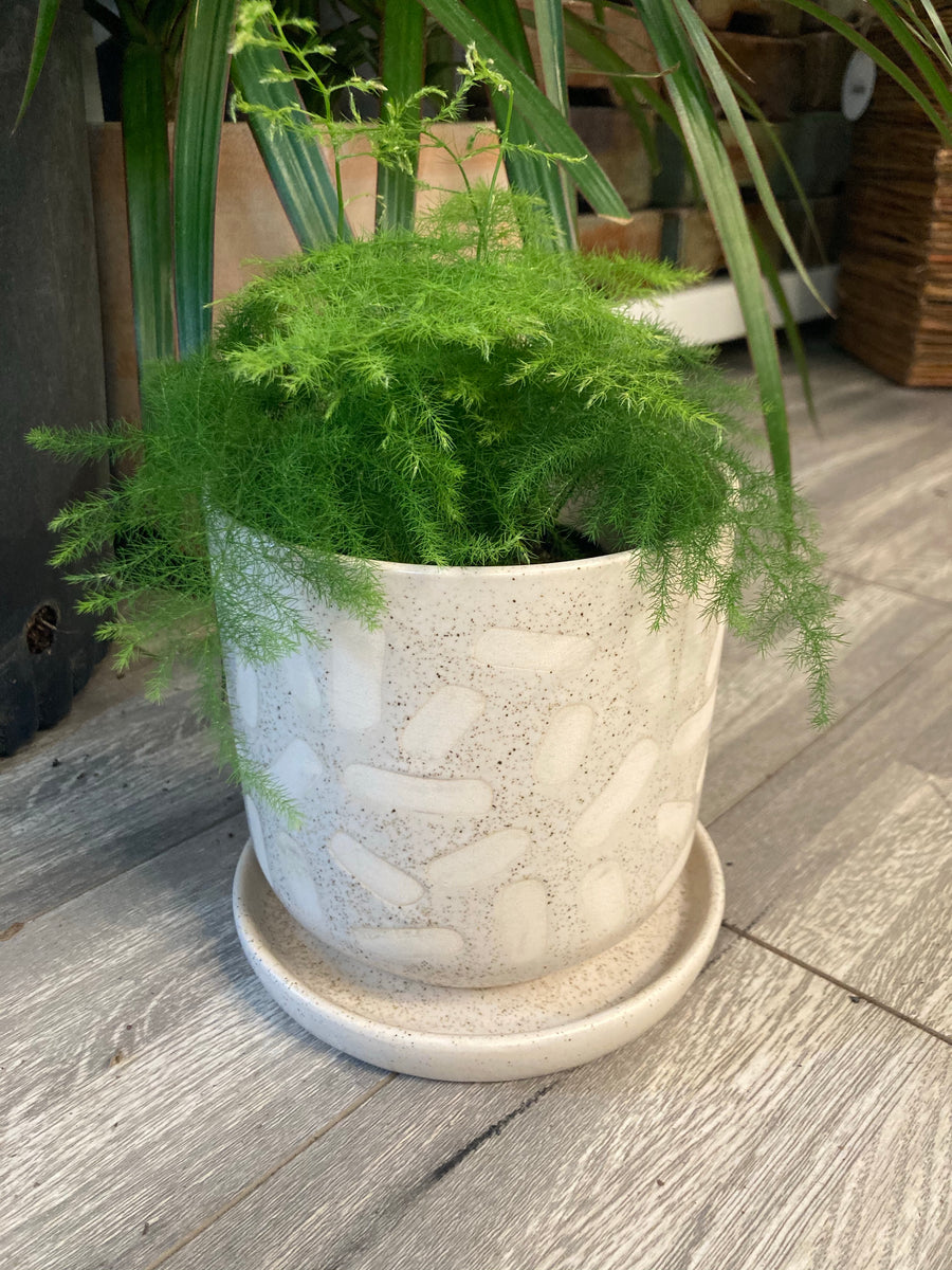 Plant Salon Sundae Pot White