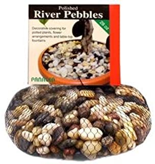 Pebbles - Plant Salon