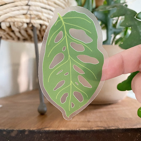 Monstera Adansonii Leaf Clear Sticker